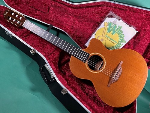 Chitarra acustica lowden 25j - chitarra,