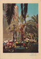 # LADISPOLI: VILLA MARGHERITA - PALACE HOTEL- UN ANGOLO DEL GIARDINO