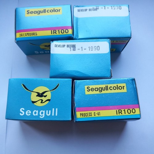Rullini pose seagull - 5,
