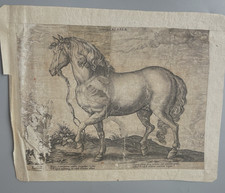 Gravure XVIIème   'CALABER'
