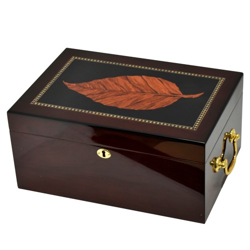 Cedar cigar humidor - cedar, +