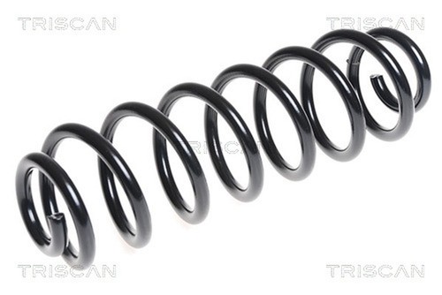 Molla sospensione triscan - 1,