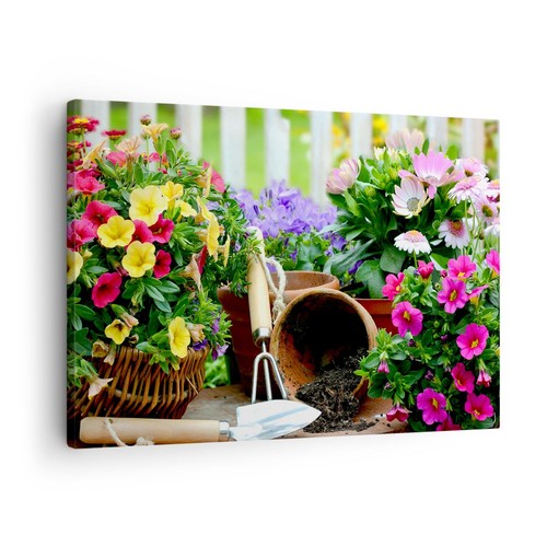 Quadro tela 70x50cm piante - quadro, su