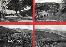 CAMPIGNA - LOTTO DI 8