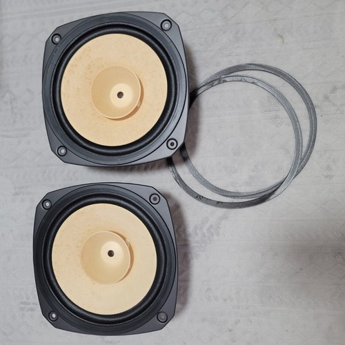 Coppia diffusori full range
