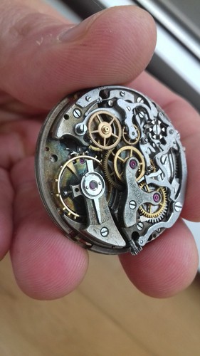 Angelus chronodato 217 - angelus, sf