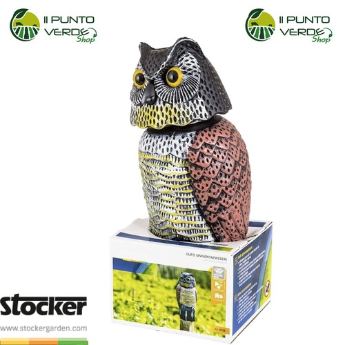 Gufo testa rotante - gufo,