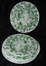 Quadrifoglio La Primula 4