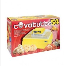 Incubatrice Covatutto 54