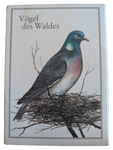 Vögel des waldes libro - vögel,