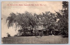 Antique New York Postcard