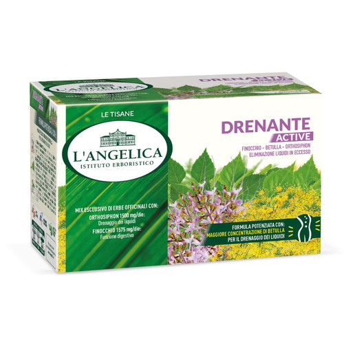 Angelica tisane drenante - angelica,