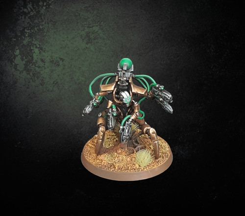 Hexmark destroyer necrons - hexmark,