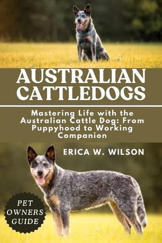Australian cattledogs - australian,