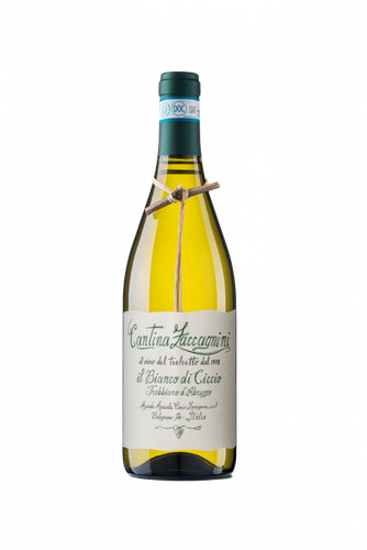 Zaccagnini bianco ciccio - il,
