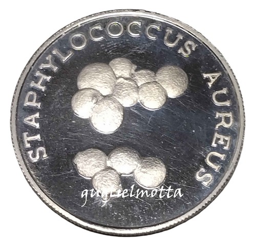 Staphylococcus aureus medaglia - staphylococcus,