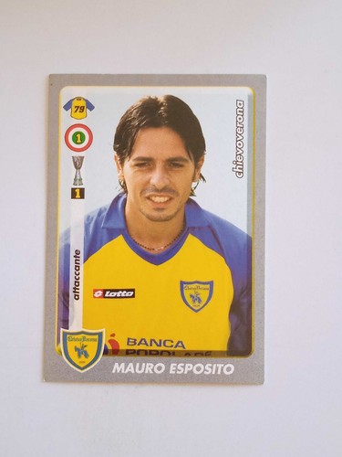 2008 panini calciatori - panini,