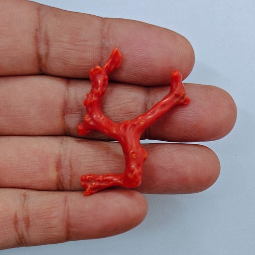 Ramo corallo rosso pietra - rosso,