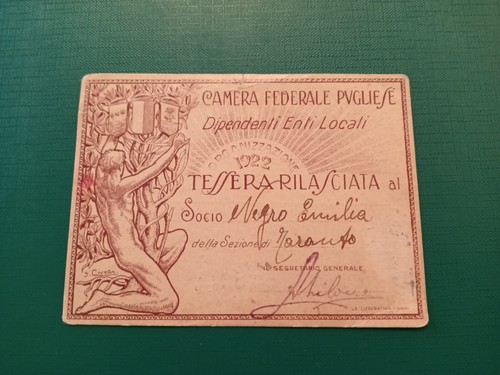 Tessera sindacato biennio - tessera,