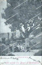 bg537 cartolina un saluto dai bagni di caramanico veduta nel parco pescara 1905