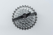 Miche Primato Campagnolo