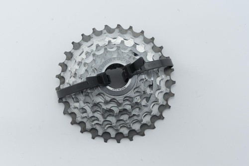 Miche primato campagnolo - primato,