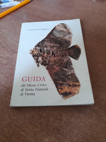 Guida del museo - guida,