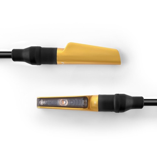 Rizoma corsa oro indicatori - rizoma,