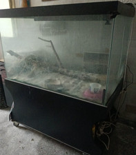 Terrario per rettili con mobile, artigianale. Ritiro a carico dell'acquirente.