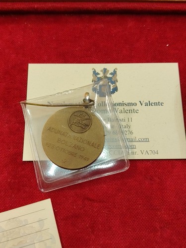 Medaglia raduno alpini bolzano - medaglia,