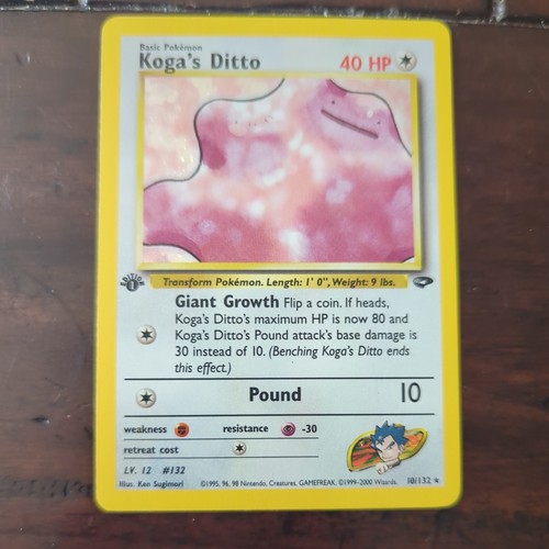 Koga ditto 132 - 10/132, gym