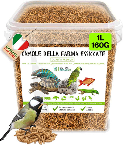Camole della farina essiccate - della,