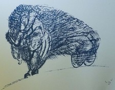Bisonte roberto - bisonte",