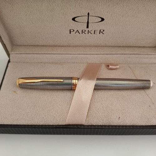 Penna stilografica parker - stilografica,