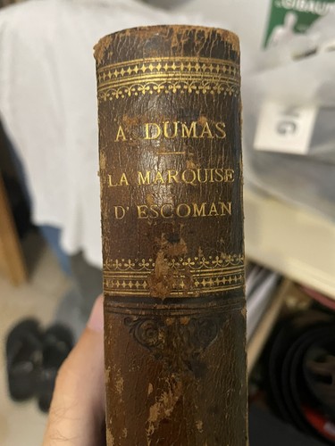 Libro antico dumas del 1888 - a.,