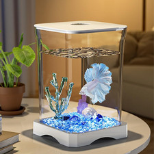 Betta - Mini acquario