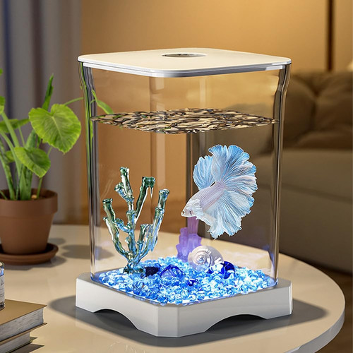 Betta mini acquario - betta,
