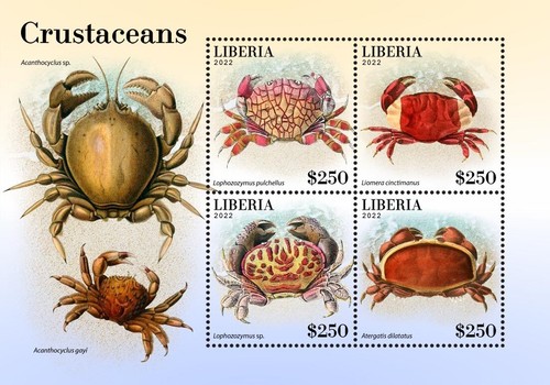 Francobolli granchi crostacei - francobolli,