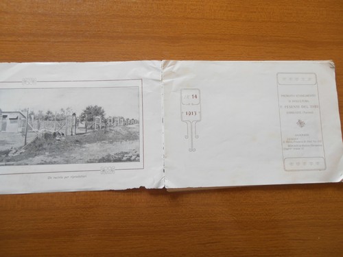 1913 stabilimento avicultura - 1913,