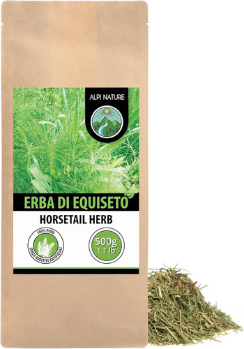 Equiseto tisana 500g - tisana, di