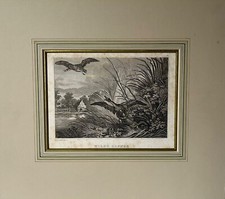 Incisione Martin Elias