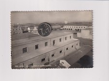 ROMA - 288 -  CECCHIGNOLA -