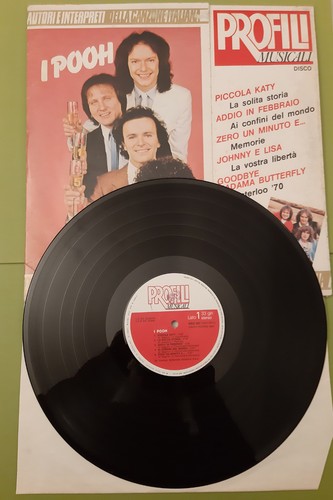 Disco vinile giri - giri, lp