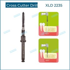 Lindemann Guida Trapano