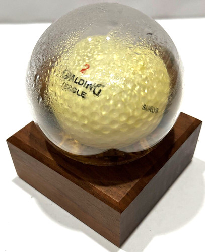Spalding eagle surlyn - spalding,