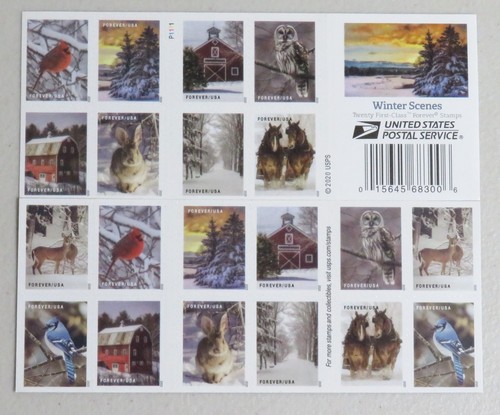 Libro scene invernali 20 - scene, di