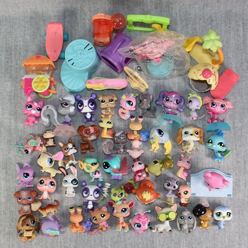 Littlest pet shop lps hasbro - shop,