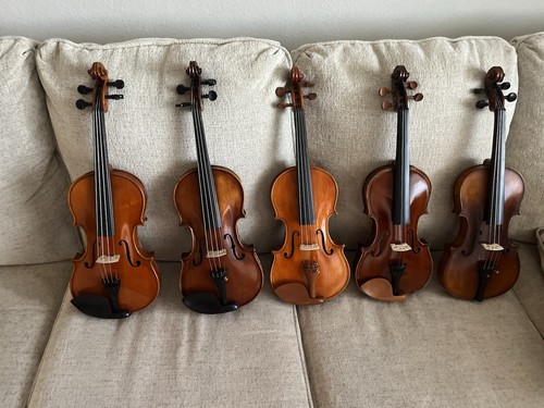 Violini full size - violini, acustici