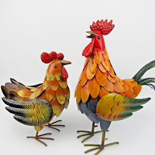 Coppia gallo gallina - coppia, in
