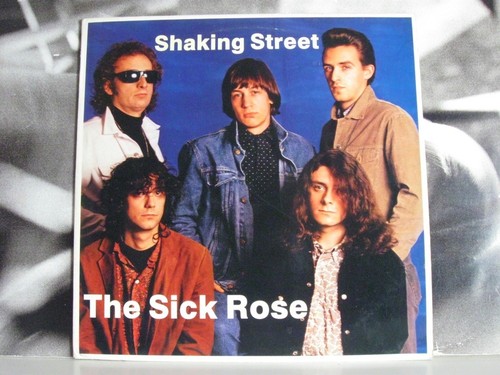 Sick rose shaking - rose,